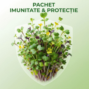 PACHET IMUNITATE & PROTECȚIE