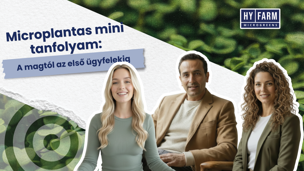 Microplantas mini tanfolyam: A magtól az első ügyfelekig